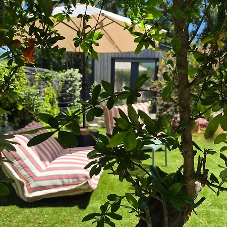 Le Cabanon De Casaoma * Prunelli-di-Fiumorbo